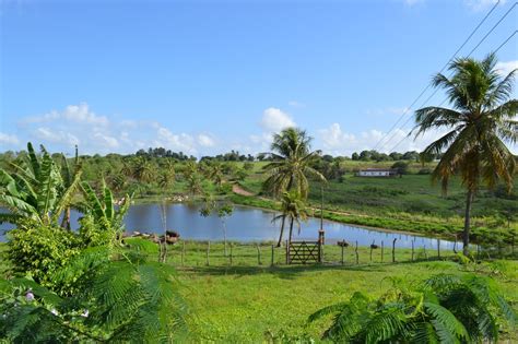 Fazenda Em Monte Alegre Rn Fazenda Quirambu S Tio Escola Rn