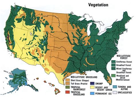 vegetation  usa
