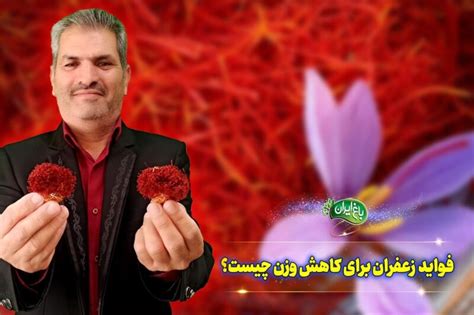 فواید زعفران برای لاغری و کاهش وزن چیست باغ ایران