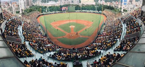 Taipei Tianmu Baseball Stadium Stadium Floodlights Price