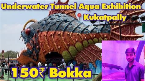 Under Water Tunnel Aquarium Expo 2023 UnderWater Fish Aquarium At