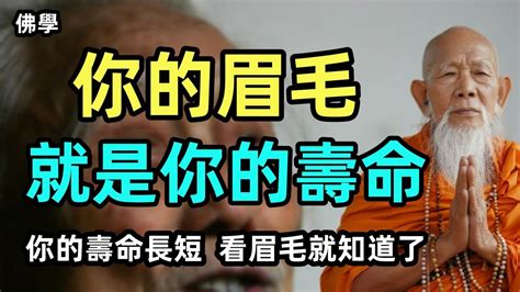 你的眉毛就是你的壽命壽命長短看眉毛就知道了信不信進來看一看就知道了 佛學 佛教 佛法 YouTube