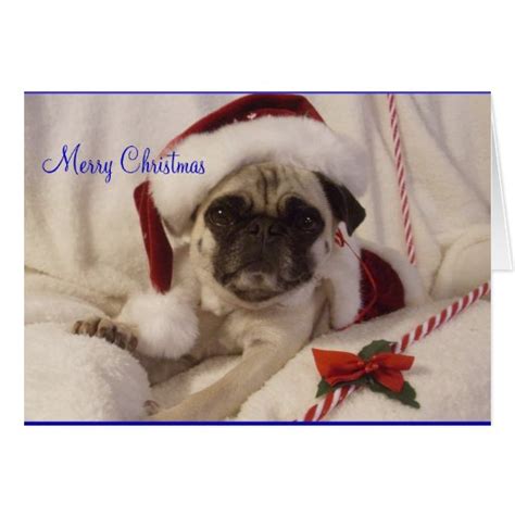 Pug Christmas Card | Zazzle