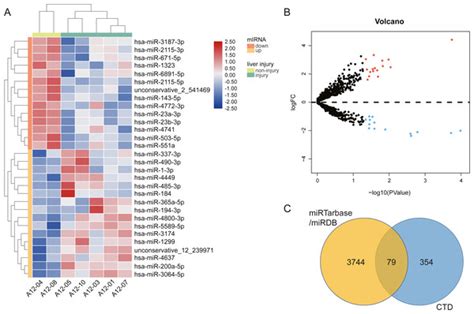 Identification Of Exosomal Mirnas Associated With The Anthracycline