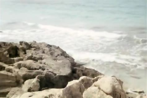 Sunshine Reggae Auf Ibiza Nude Scenes