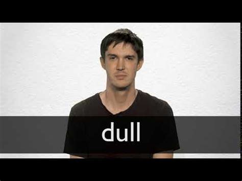 dull learn  meaning synonyms translations collins english