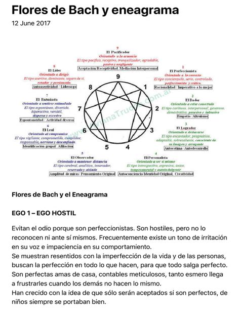 Acupuntura Maestro Tung | PDF | Vida | Humor