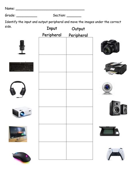 Input And Output Worksheet