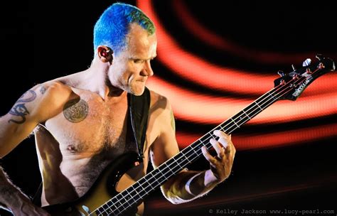 La biografía de Flea Red Hot Chili Peppers está en camino Binaural