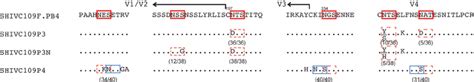 Amino Acid Sequence Comparison Of The Env Gp120 V1v2 C3 And V4