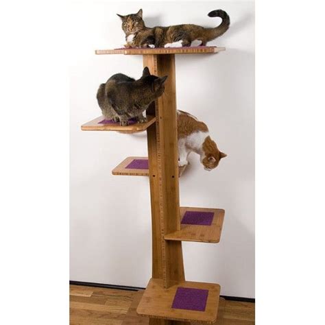 30 Most Stylish Cat Trees Homedecorish