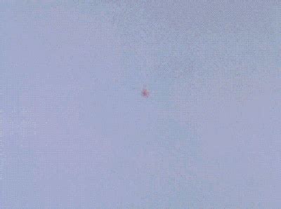 Gay Virgin Mary Tumblr Tumbex