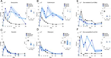 Ribosome Binding Antibiotics Increase Bacterial Longevity And Growth