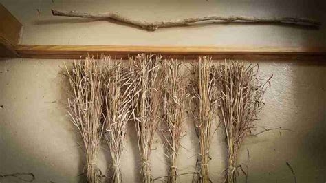 Crafting Your Own Besom: Explore The Magic Of The Witch's Broom - The Outdoor Apothecary