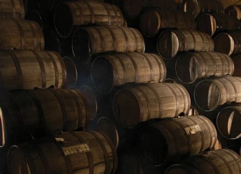 Process - World of Tequila