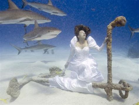 Snorkel Scuba And Free Diving Vol1 K Unwtr 0003p Porn Pic