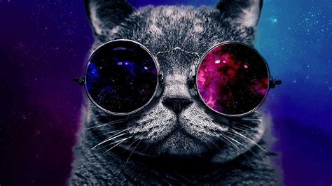 100 Cats In Space Wallpapers Wallpapers