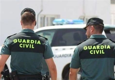 La Guardia Civil la Policía Nacional y el Servicio de Vigilancia