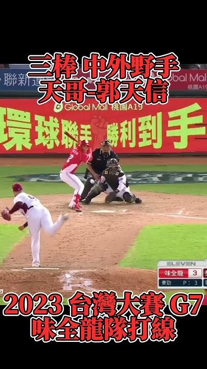 【麥可斯】2023台灣大賽g7味全龍 隊打序！味全龍dragons 中華職棒 樂天桃猿 總冠軍賽 總冠軍 野球 味全龍啦啦隊