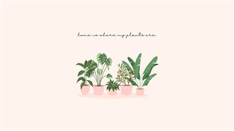 plant pc wallpapers  hd plant pc backgrounds  wallpaperbat