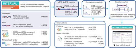 overview   multi omic data    interval study