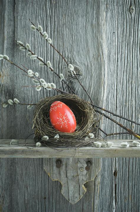 Hand Painted Red Easter Egg In Willow Nest And Branches Of Pussy Willow On Wooden Shelf