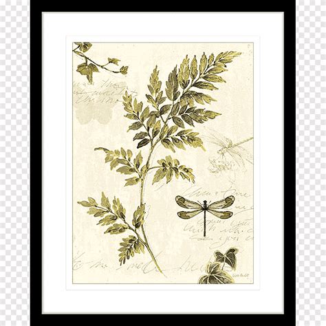 Leaf Art Fern Printing Poster Leaf Botany Leaf Png PNGEgg