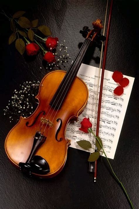 Beautiful | Violin art, Violin photography, Violin