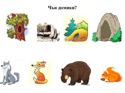 Игра кто где живет для дошкольников в картинках