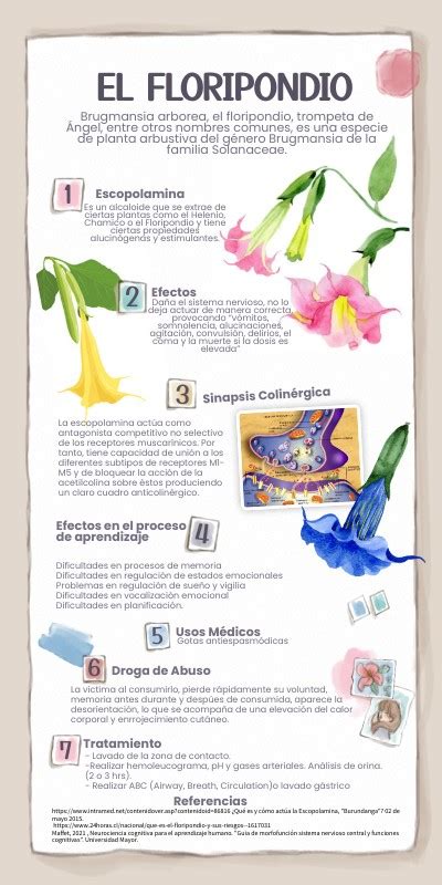 Infografía Floripondio Genially