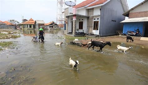 Sejumlah Daerah Diminta Waspada Banjir Rob Hingga Pertengahan November