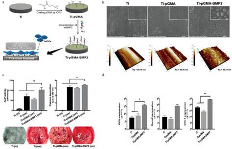 Coatings Free Full Text A Comprehensive Review Of Surface Modification Techniques For