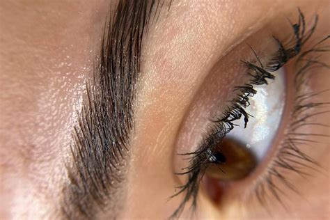 Naked Brows Wax Llc By Gianna Hair Makeup Rockledge Fl Weddingwire