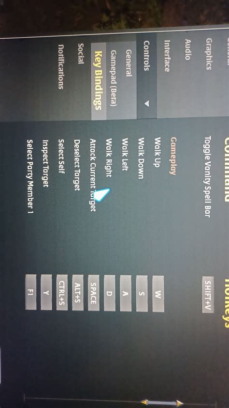You can move with WASD, reposted with a more clear photo (go to