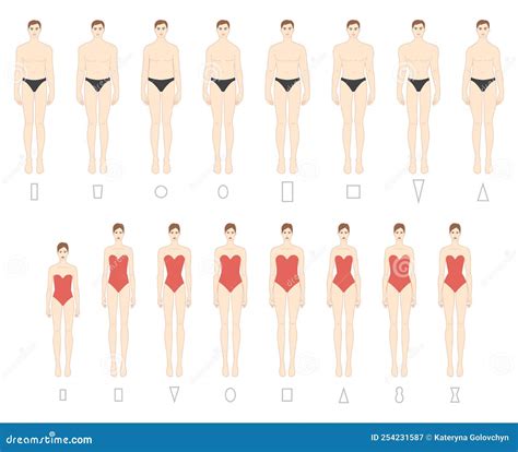 Man Body Shapes