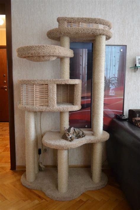 Комплекс для кошек «Басик+» — купить в Санкт-Петербурге, Москве, России