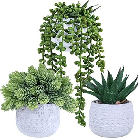 Amazon Winlyn 3 Pcs Assorted Small Potted Succulent Plants