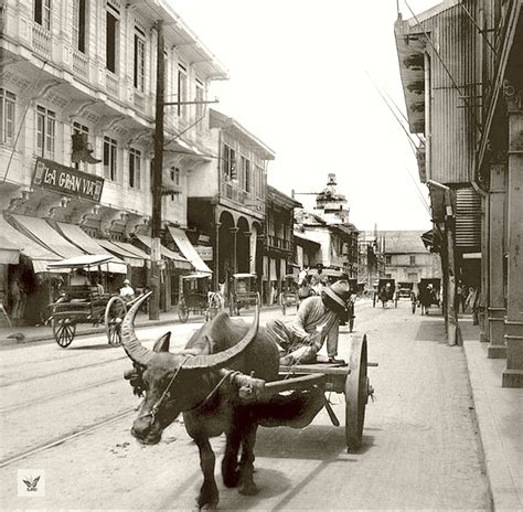 Typical Carabao Freight Cart In Binondo Courtesy San Juan Rizal Days