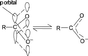 Resonance structure of carboxyl group. | Download Scientific Diagram