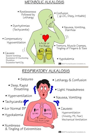 Difference Between Acidosis And Alkalosis Definition 48 Off