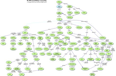 The World Of Biology