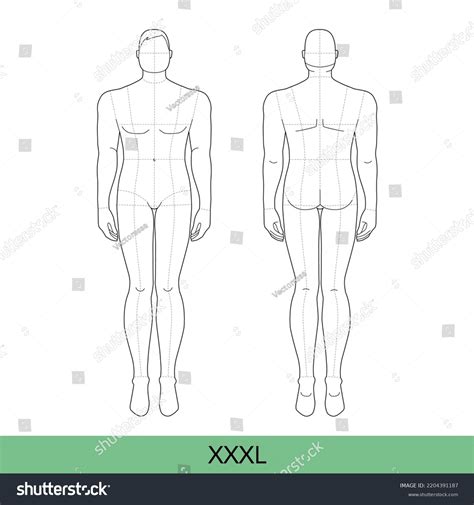 Plus Size Male Croquis