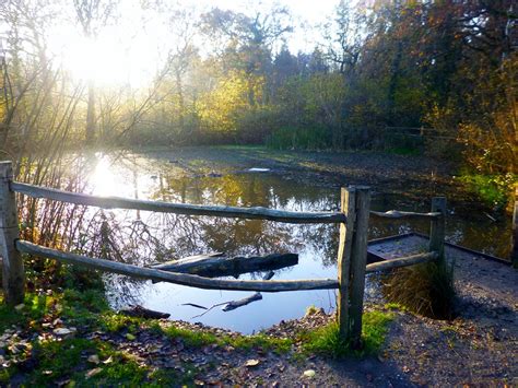 filewinding pond clowes wood wikimedia commons