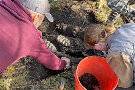 Fossilised Mastodon Jaw Unearthed After Man Spots Two Giant Teeth In