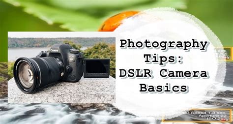 Photography Tips: DSLR Camera Basics To Produce Photos Like A Pro