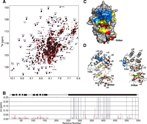 NMR Of Phosphorylated PKR A 15 N TROSY HSQC Spectral Overlay Of PKR