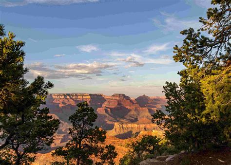 Skywalk Du Grand Canyon Ultimate Guide To Americas Most Breathtaking