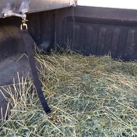 Pack Goat Tether The Perfect Solution For Restraining Goats