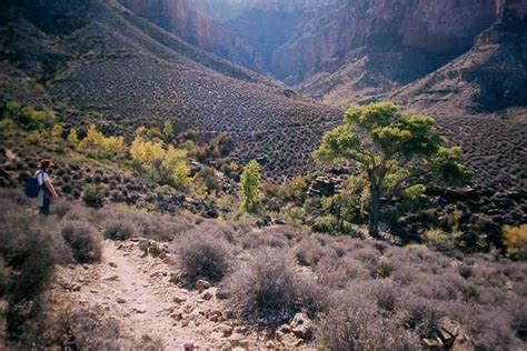 Side Canyon Between South Kaibab And Bright Angel Trails Tonto Trail