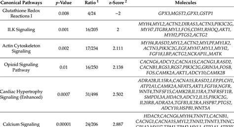 Ingenuity Pathway Analysis (IPA) -based list of pathways in the set of ...